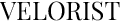 VELORİST LOGO